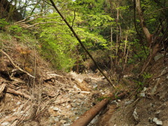 P4300139