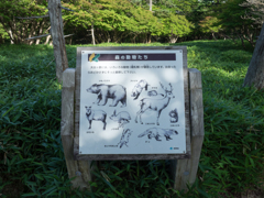 P7080119