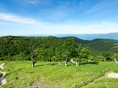 P7080191