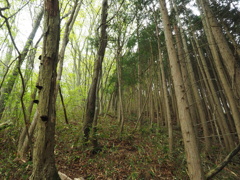P4300023