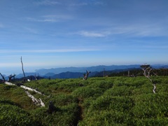 P7080106d