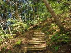 P4270124