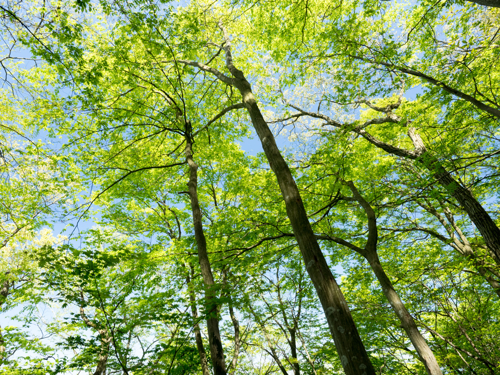 P4270109