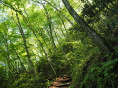 P4270080