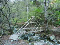 P4290006