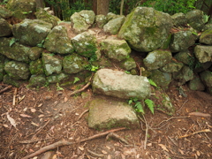 P5270061