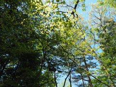 P4270057