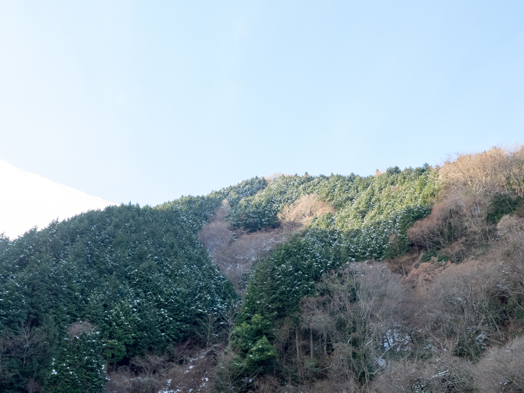 P1072902