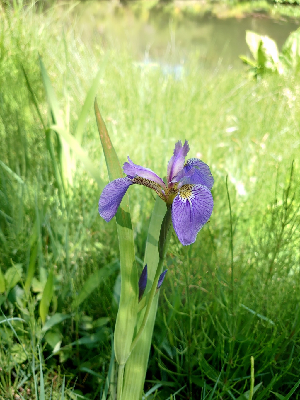 DSC_6907