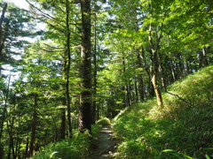 P7220231