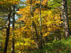 PA160230
