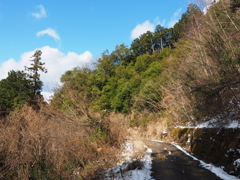 P2123700