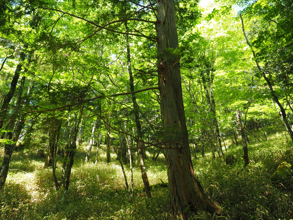 P6170370