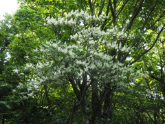 P6170031