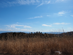 P2193797