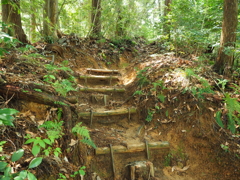 P4270027