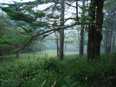 P9250018