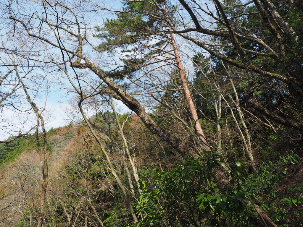 P3300024