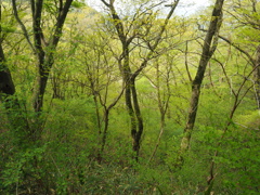 P4300067