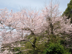 P3300074