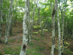 P6170034