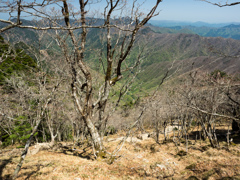 P4290268