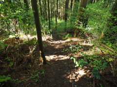 P4270243