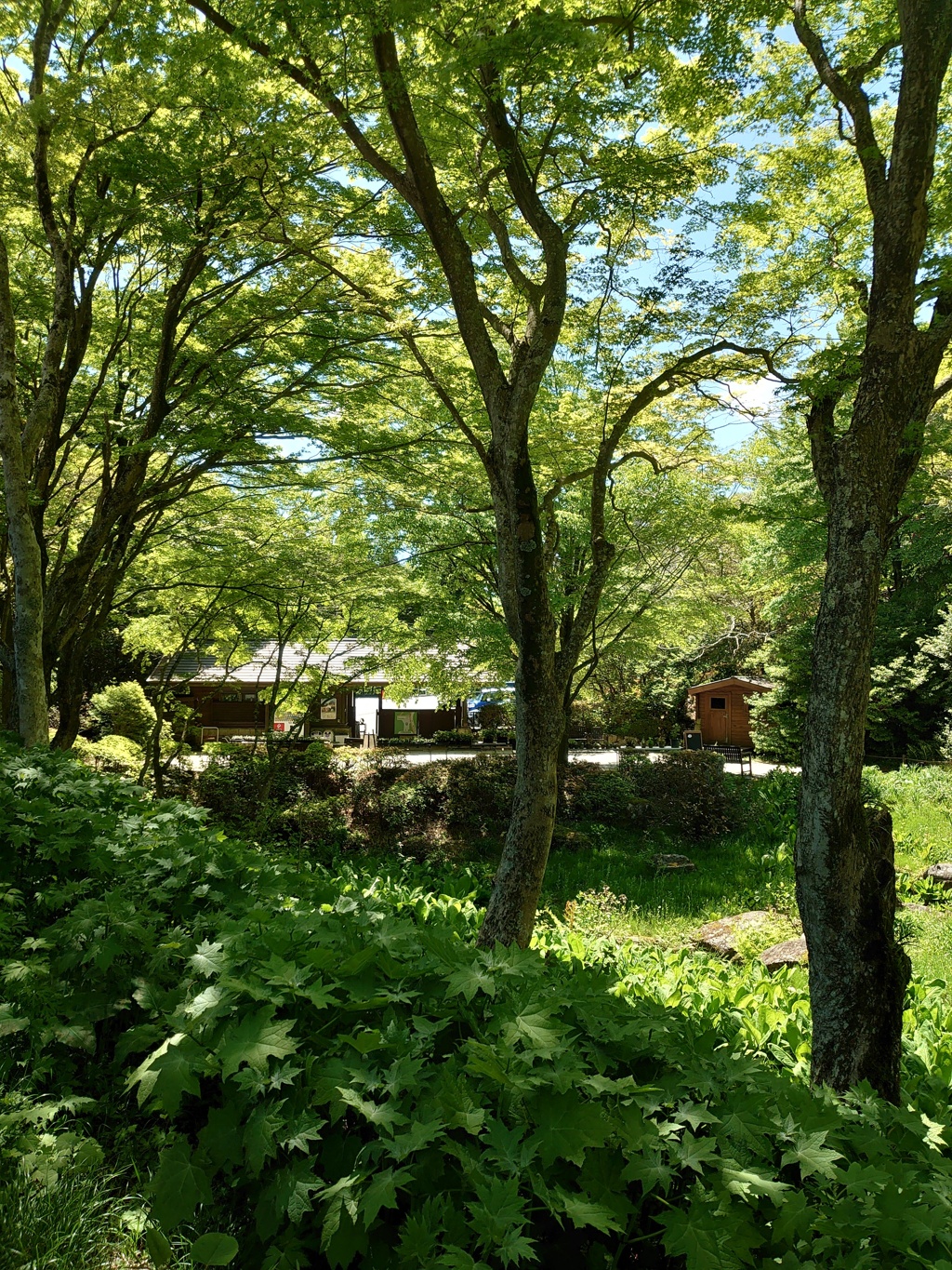 DSC_6900