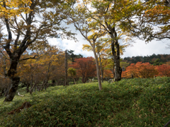 PA160091