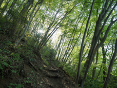 P4270257