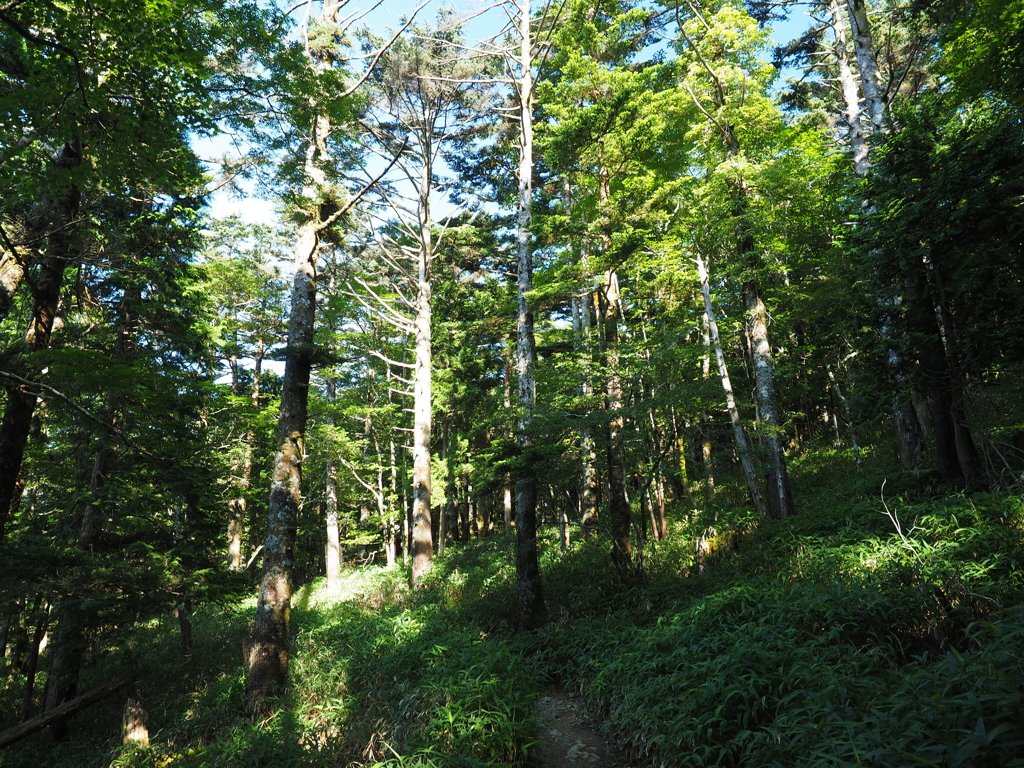 P7220208