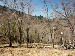 P4290289
