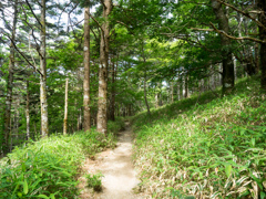 P7080210