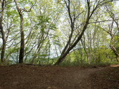 P4300089