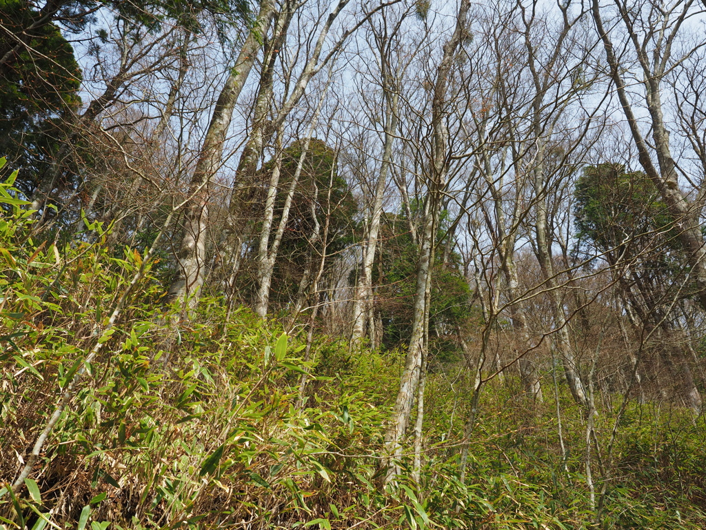 P3300061