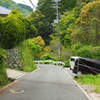 P4300158