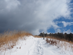 P2123594