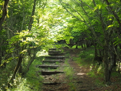 P6170036