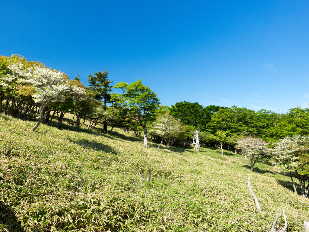 P6170208