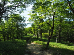 P7080124