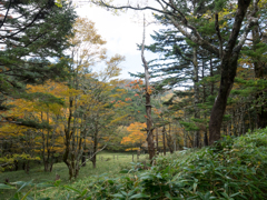 PA160033