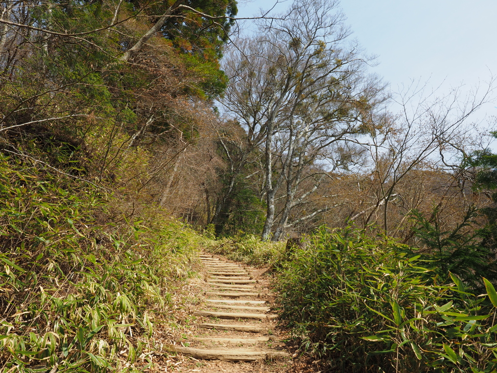 P3300055