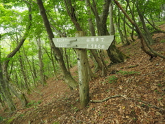 P6170102