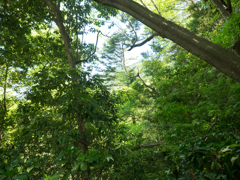 P4270044
