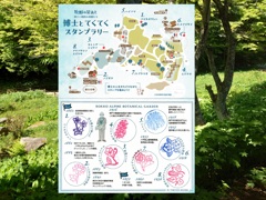 IMG_20240510_0003b