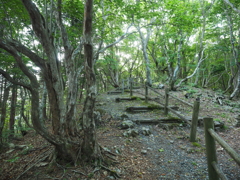 P6170008