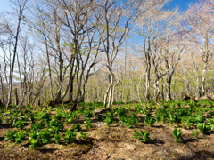 P4290100
