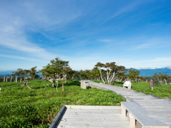 P7080099