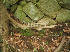 P5270052