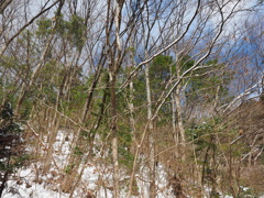 P2123486